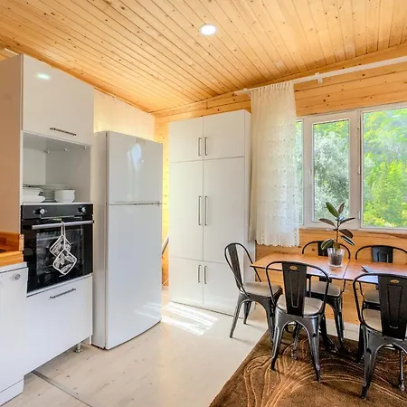 Villa Scenic View With Garden In Nature *