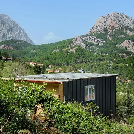 Villa Scenic View With Garden In Nature